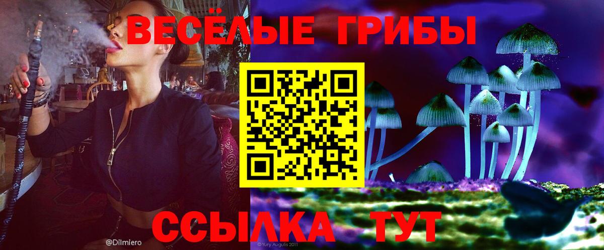 Лысьва  Галлюциногенные грибы MAGIC MUSHROOMS  Вход с VPN 