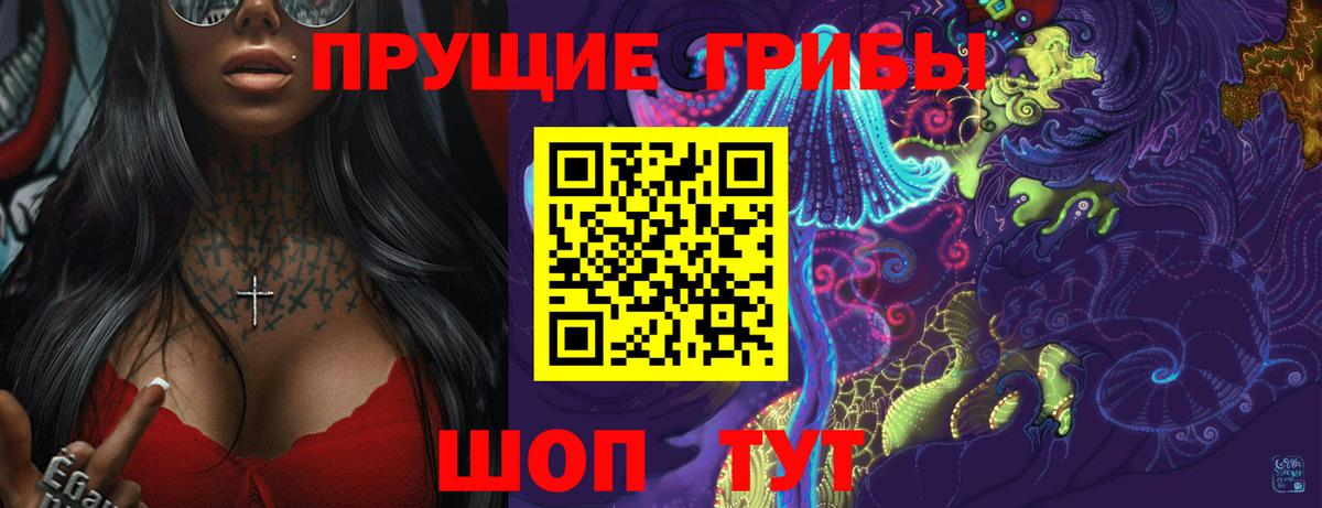 Галлюциногенные грибы Psilocybe Лысьва
